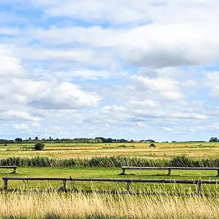 16 Person In Prázdninový dům *